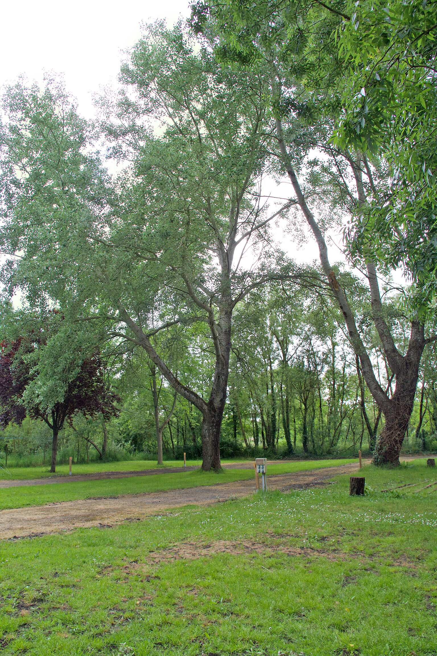 Emplacement de Camping 2 étoiles en Vendée Pays de la Loire